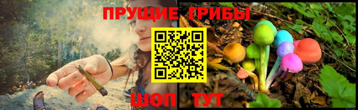 Псилоцибиновые грибы мухоморы Черняховск